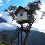 Domek na drzewie w Ekwadorze